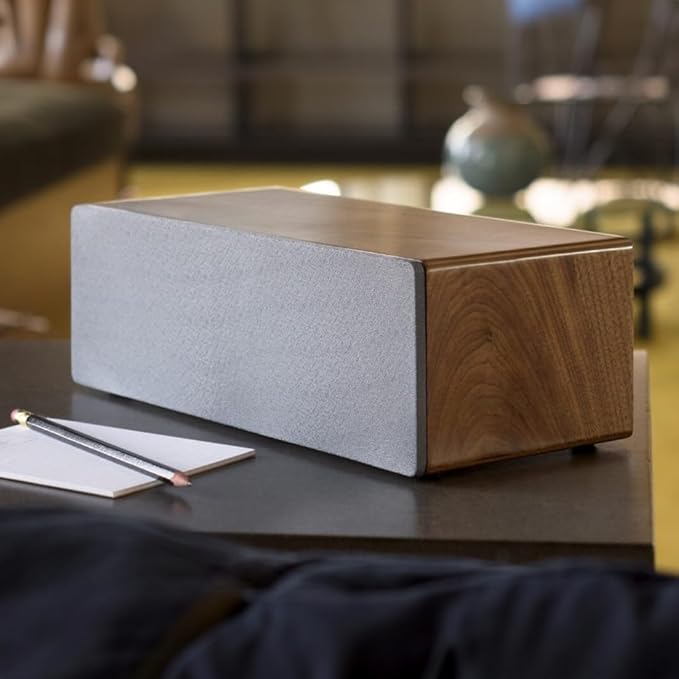 Audioengine All in One A2+ (B2) Portable Wireless Speaker - Audio with Lossless aptX Bluetooth and Analog Audio Input for Phone, Tablet, and Computers