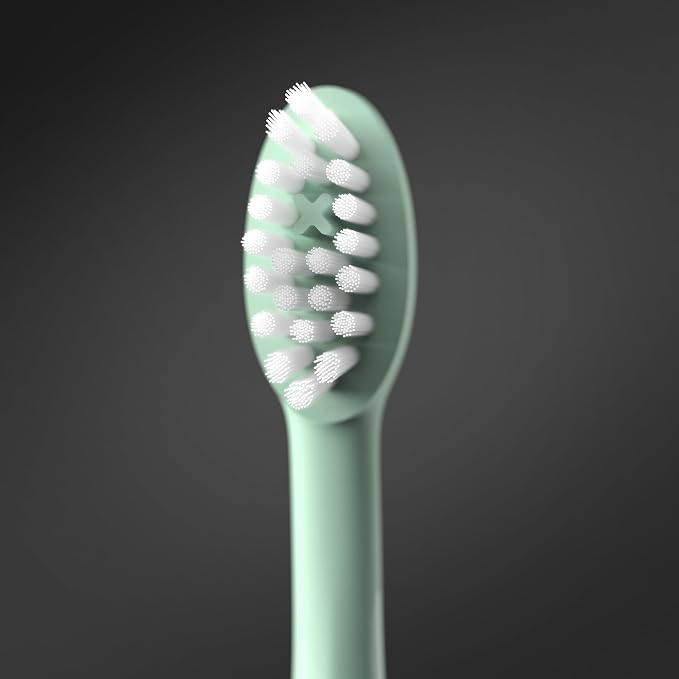 ORDO Sonic+ Electric Toothbrush with Case, Sonic Toothbrushes for Adults, Charging Travel Case, 4 Brushing Modes, Fast Rechargeable Battery, Silicone Polishing, USB Charger, Mint Green
