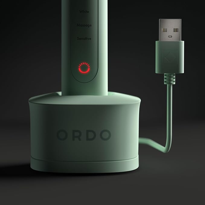 ORDO Sonic+ Electric Toothbrush with Case, Sonic Toothbrushes for Adults, Charging Travel Case, 4 Brushing Modes, Fast Rechargeable Battery, Silicone Polishing, USB Charger, Mint Green