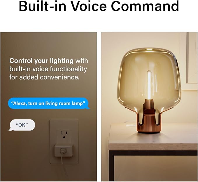 Legrand Radiant® Wi-Fi Matter Smart Plug Matter Hub Required 15A, Easy Setup, Enhanced Compatibility with Apple HomeKit, Google Home, Alexa & SmartThings, Easy Wi-Fi Connectivity w/Matter (1 Pack)
