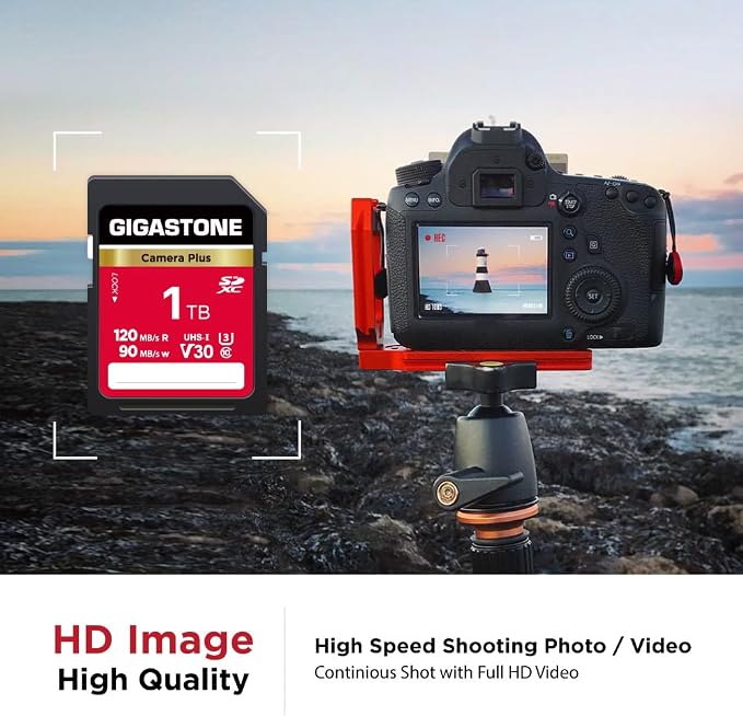 GIGASTONE 1TB SD Card, Camera Plus, UHS-I V30 SDXC Memory Card High Speed UHD Video Compatible with Kodak Olympus Digital Camera, with 1 Mini case