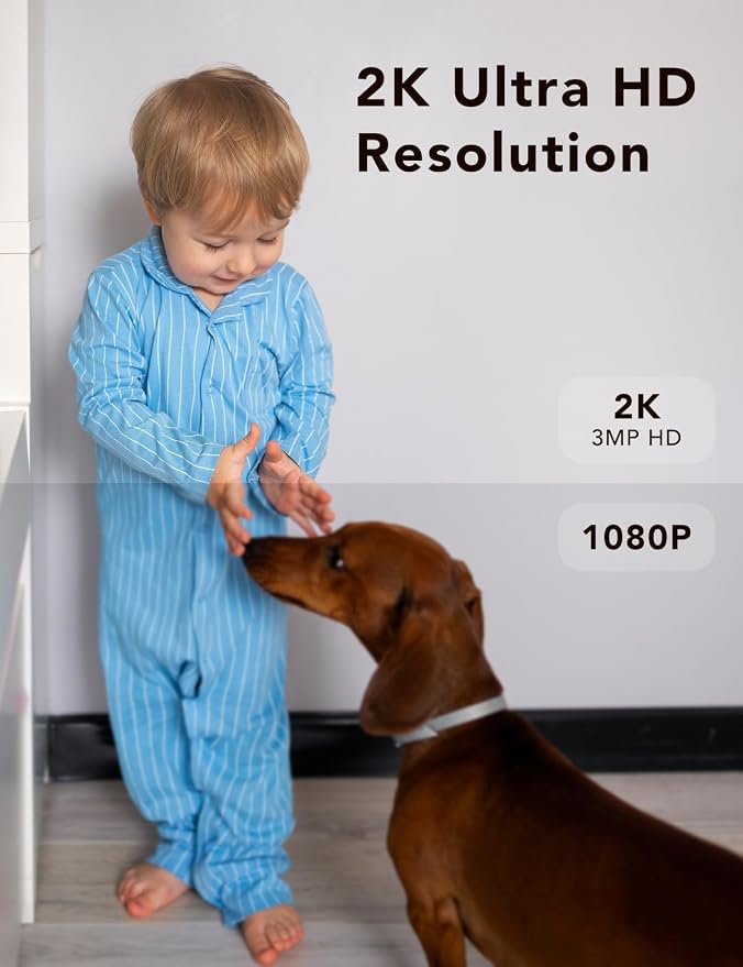 2K Security Camera Wired, Outdoor/Indoor for Home, Pet, Baby, Nanny, IP65 Waterproof Color Night Vision, White Light & Siren, Recording, Motion Detection, Compatible with Alexa,Black-2P