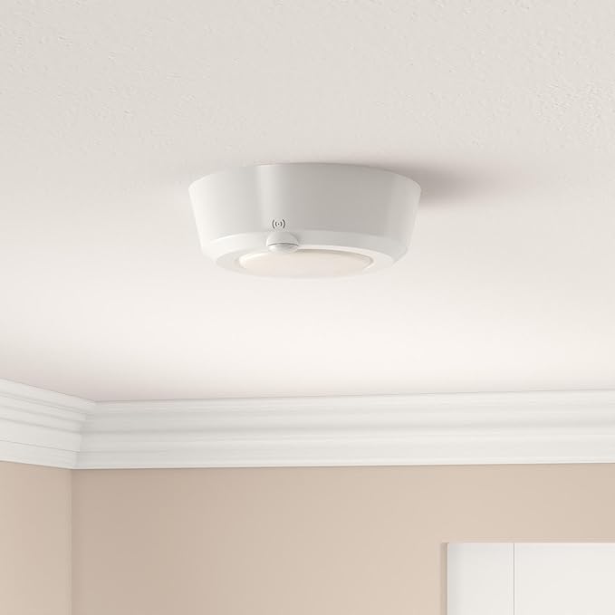 LUXSWAY Wireless Ceiling Light with RF Remote and Motion Detector, Cool Warm White Shower Light,Super Bright Battery Ceiling Light Timer for Closet Hallway Stair Gargage 5.67 Inch, 300Lumens