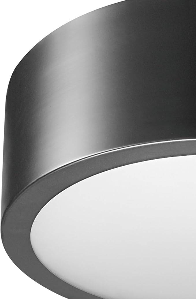 Globe Electric 60304 Edinburg LED Integrated Flush Mount Ceiling Light, Black Iron Finish, Frosted Glass Shade, 18W, 3000 Kelvin, 1100 Lumens, Dimmable 60304