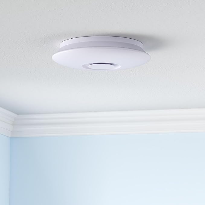 Upgrade 15 inch Dimmable LED Music Ceiling Light with Bluetooth Speaker 24W, Bluetooth Control via Smart Phone APP, Flush Mount Ceiling Light Family Bedroom (Remote Includes)