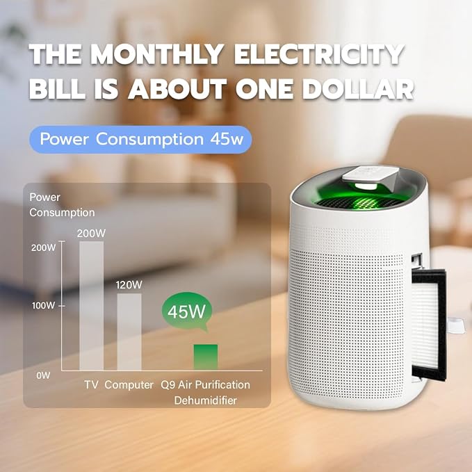 1000ml Dehumidifier w/Air Purifying Function, True HEPA Filter, Auto Shut off, Ultra-Quiet, Ideal for RV Closets Bathrooms Q9 1 Filter