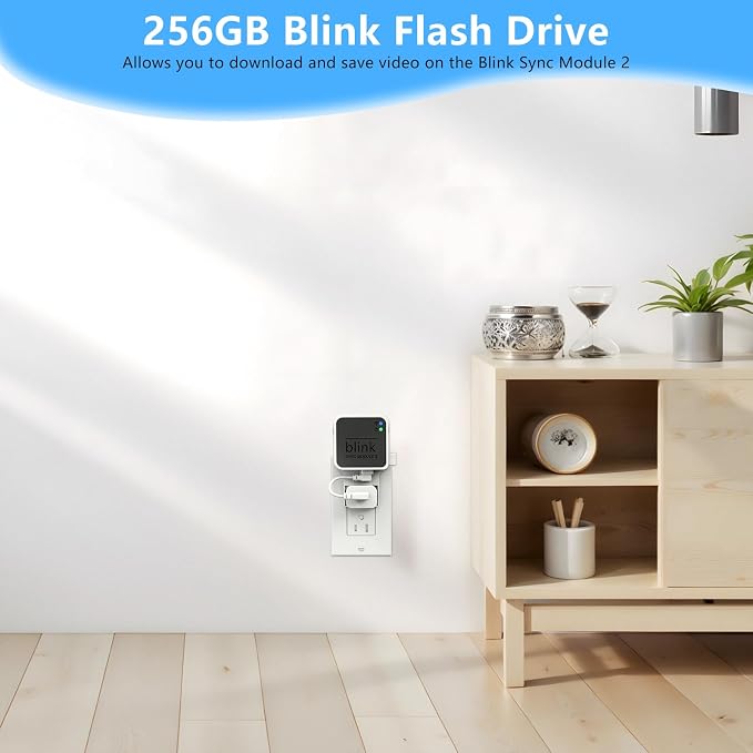 256GB USB Flash Drive with Outlet Wall Mount for Blink Sync Module 2, USB Storage and Sync Camera Mount for Blink Outdoor Indoor Security System (Sync Module 2 is NOT Included),White