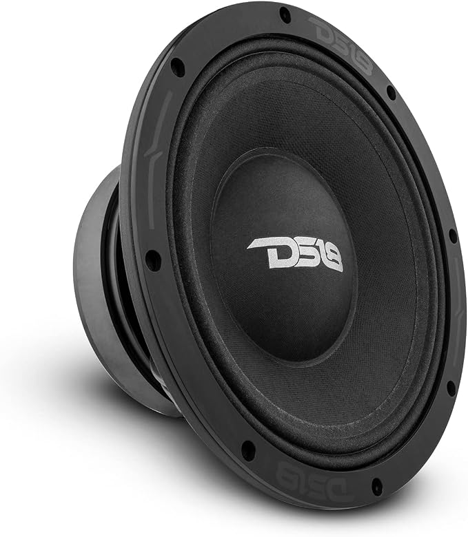 DS18 PRO-ZXI10MBASS 10" Pro Audio Mid Bass Loudspeaker 1000 Watts 8-Ohm - Premium Quality Audio Door Speakers for Car or Truck Stereo Sound System (1 Speaker)