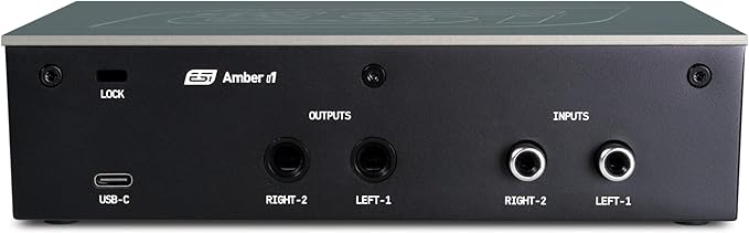 ESI Amber i1 USB Audio Interface with Audio Mixer for Guitarists, Vocalists & Producers - Studio-Quality Sound, 24-Bit/192kHz, RCA, 2-in/2-out with Separate Line Inputs, Professional Software Included