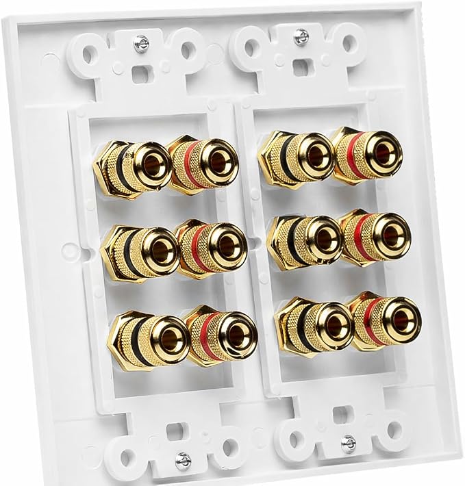 DIYTECH 6 Speaker Wall Plate, Home Theater Wall Plate, Gold Plated Binding Posts, for Home Theater Setup