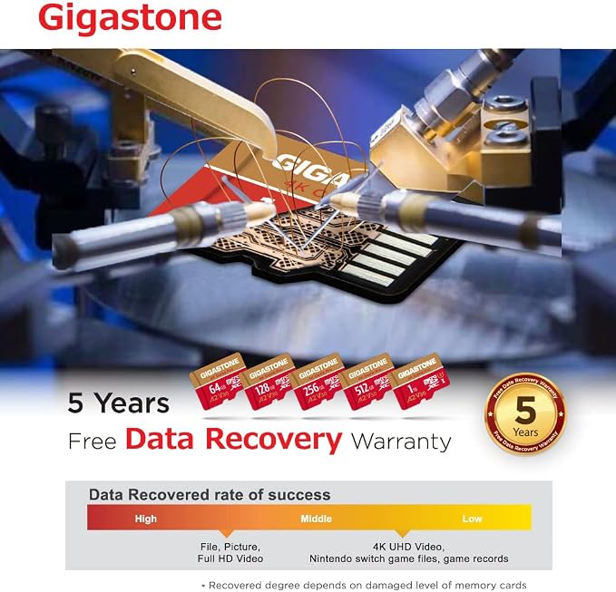 [5-Yrs Free Data Recovery] GIGASTONE 256GB Micro SD Card, 4K Game Pro, MicroSDXC Memory Card for Nintendo-Switch 1, GoPro, Action Camera, DJI, UHD Video, R/W up to 100/60MB/s, UHS-I U3 A2 V30 C10