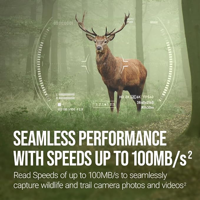 PNY 32GB Elite Class 10 U1 V10 SDHC Trail Camera Flash Memory Read Up to 100MB/s, UHS-I, HD Photo & Video, Outdoor Camera, DSLR Camera, Tactile Use, Wildlife Enthusiasts, 10-Pack (Packaging May Vary)