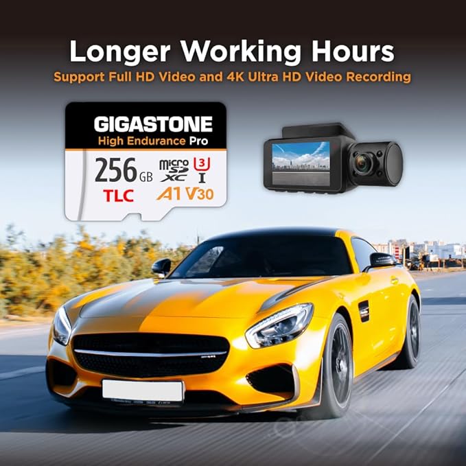 【5 Yrs Free Data Recovery】【Dash Cam】 GIGASTONE 256GB Micro SD Card, TLC High Endurance Pro, Speed Up to 100MB/s, Compatible with REDTIGER Rove VIOFO VANTRUE PRUVEEO ARIFAYZ, MicroSDXC UHS-I A1 V30 U3