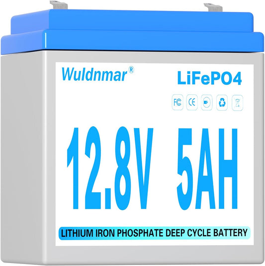 12V 5Ah LiFePO4 Battery, Lithium Battery with BMS, 3000+ Cycles, 64WH Deep Cycle Battery for Marine Battery, Car, RV, Golf Cart, Solar