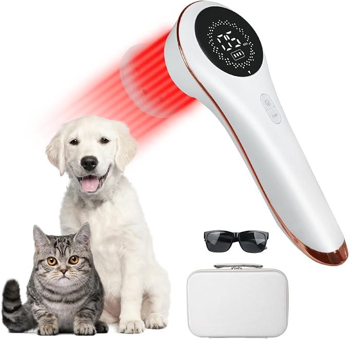 Handheld Home Cold Laser Therapy Device for Dogs and Pets, Vet Infrared Red Light Treament Machine with 808nm & 650n, LLLT Physiotherapy Equipment Portable, Animals Teddy Chihuahua Puppy Cat Horse