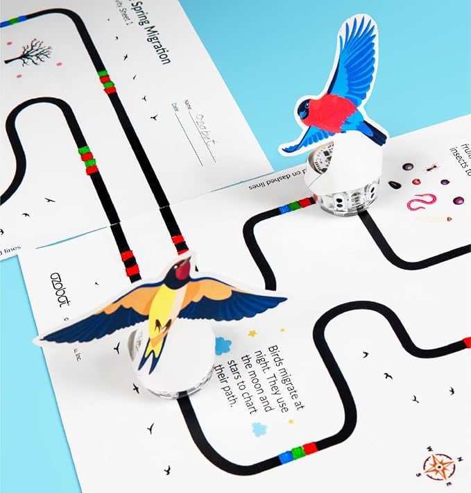Ozobot Evo Coding Robot Kit | Ages 5-11 | STEM Coding for Kids & Teachers