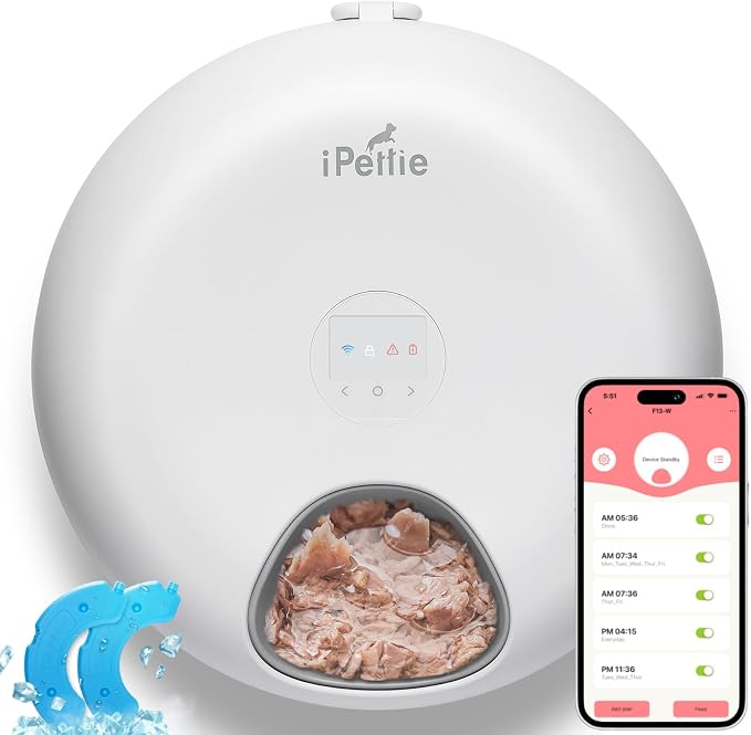 Buy Donut Frost WiFi Feeder with Extra Replacement Ice Packs Bundle