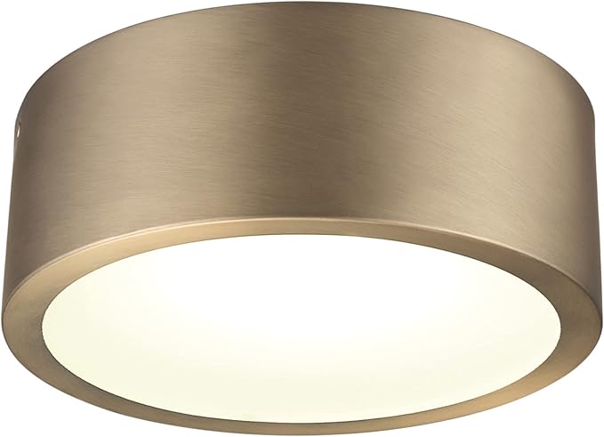 GLOBE Electric 60979 Edinburg LED Integrated Flush Mount Ceiling Light, Matte Brass, Frosted Glass Shade, 18W, 3000 Kelvin, 1100 Lumens, Dimmable