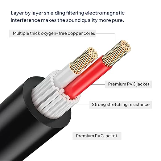 2 Pack 10 Feet Speakon to XLR Cable, SpeakON Male to 3 Pin XLR Female Microphone Cables, NL4FC Twist Lock Connector to XLR Speaker Extension Wire for PA, Amplifier, Stage Monitor