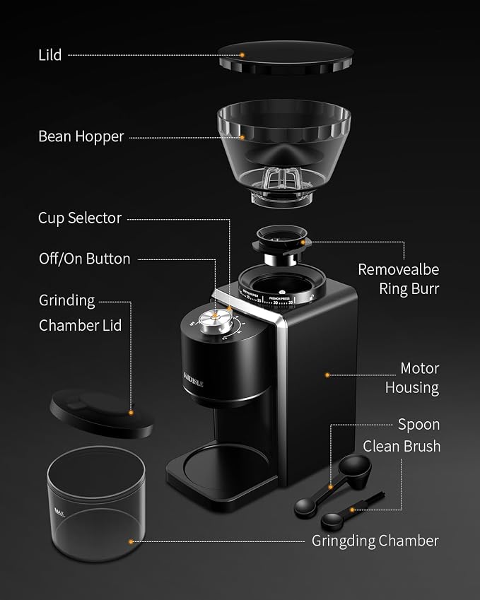 KIDISLE Conical Burr Espresso Grinder, 35 Precise Settings Electric Coffee Bean Grinder with Anti-Static Technology, Quiet Burr Coffee Grinder for Espresso, Pour Over, French Press, 2-12 Cup, Black