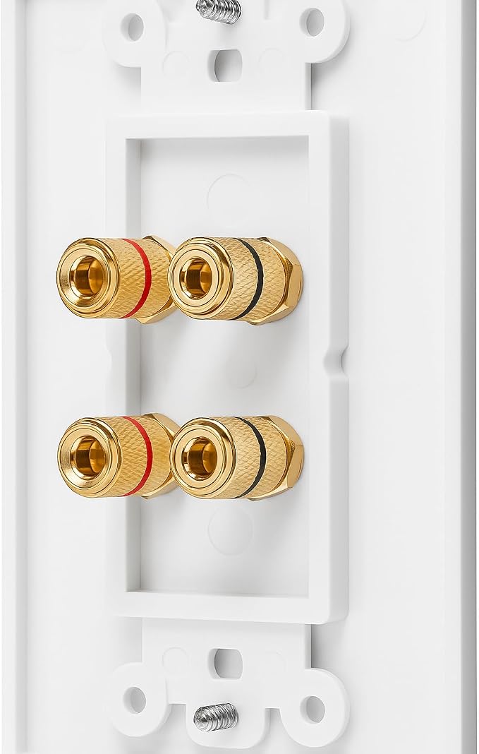 DIYTECH 2 Speaker Wall Plate, Home Theater Wall Plate, Gold Plated Binding Posts, for Home Theater Setup