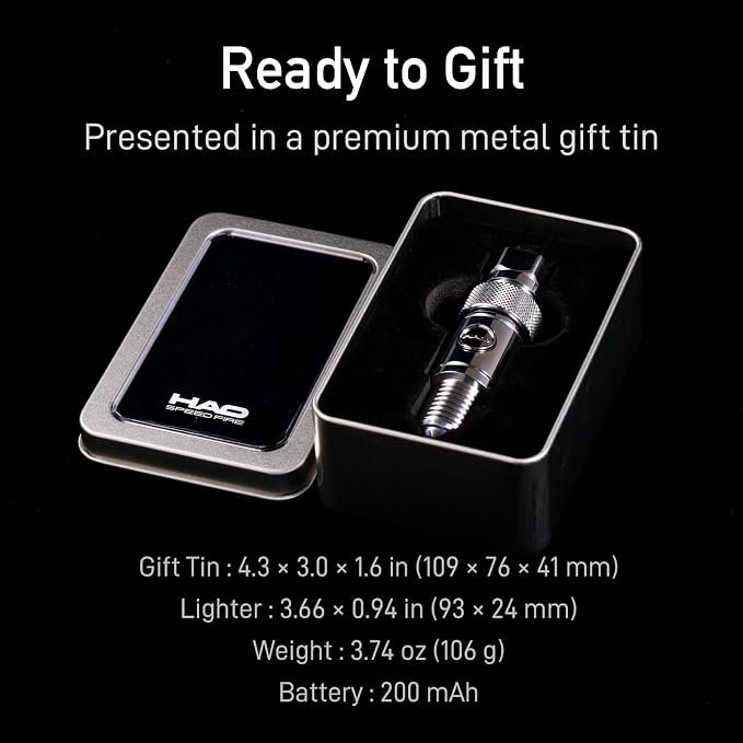Spark Plug Electric Arc Lighter, Rechargeable Flameless USB-C Metal EDC Gear, Stainless Steel Gift for Men with Gift Box (Silver)