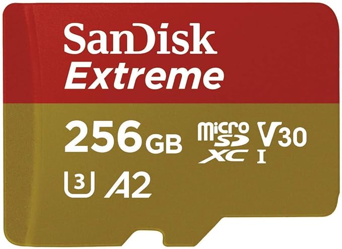 SanDisk 256GB Extreme MicroSDXC UHS-I Memory Card for DJI Drones Works with Avata and Goggles 2 (SDSQXAV-256G-GN6MN) Class 10 Bundle with 1 Everything But Stromboli Micro SD Card Reader