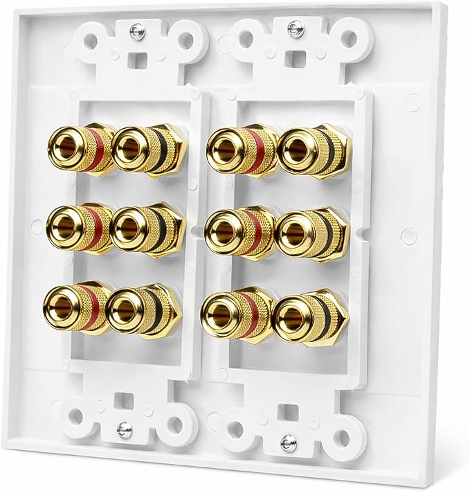 DIYTECH 6 Speaker Wall Plate, Home Theater Wall Plate, Gold Plated Binding Posts, for Home Theater Setup