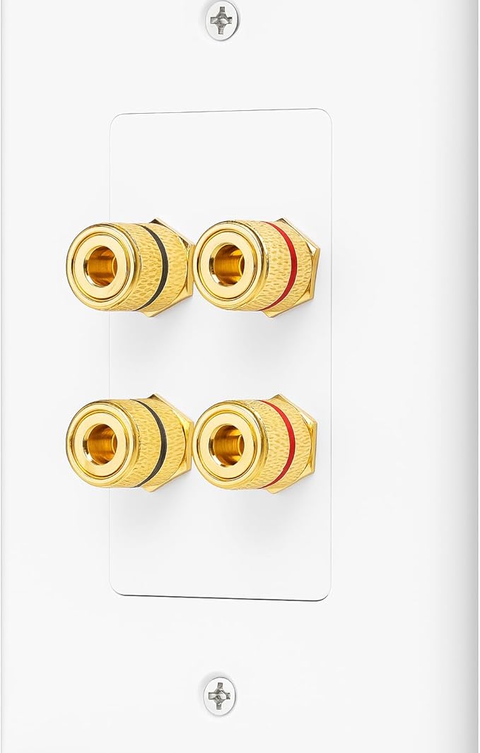 DIYTECH 2 Speaker Wall Plate, Home Theater Wall Plate, Gold Plated Binding Posts, for Home Theater Setup