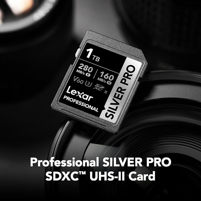 Lexar 1TB Professional Silver PRO SD Card, UHS-II, C10, U3, V60, Full HD, 4K, Up To 280MB/s Read SDXC Memory Card, For Professional Photographer, Videographer, Enthusiast (LSDSIPR001T-BNNNG)