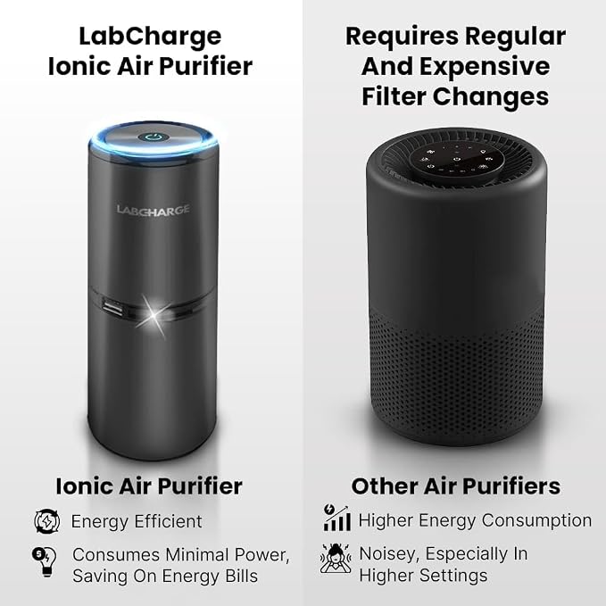 LabCharge Small Ionic Air Purifier for Home & Bedroom – Silent HEPA Filter – Covers 250 Sq Ft – For Pet Hair, Smoke, Dust, Odors & Dander – Compact Black Design – Pack of 5