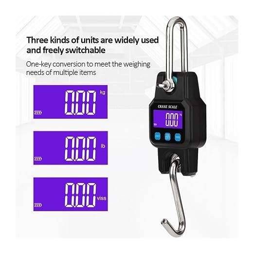 Hanging Scale, 300kg Digital Hanging Scale Rechargeable Portable Heavy Duty Crane Stainless Steel Hook Weight Balance Luggage for Gym,Hunting,Travelling(Black)