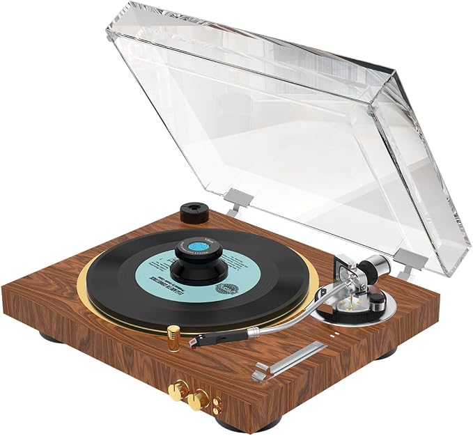 Viborg LP320B Record Weight Turntable Disc Stabilizer 77x41mm 11.3oz Aluminum LP Phono Record Puck Turntable Level for Vinyl Record Player, Turntables, Phonograph