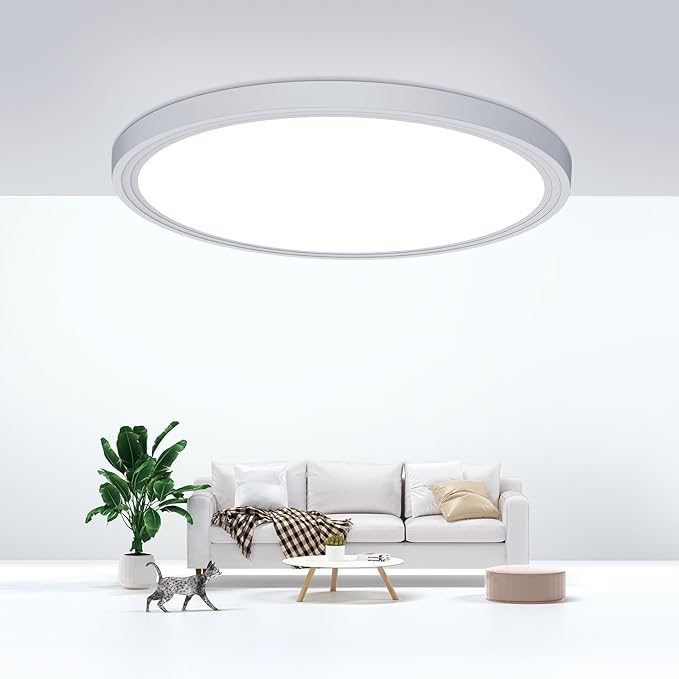 Flush Mount Ceiling Light Fixtures,24W Flat led Light for Ceiling,6000K 2200LM Ultra Thin Round White Lamp for Bedroom Kitchen,Bathroom,Garage,Living Room, Hallway