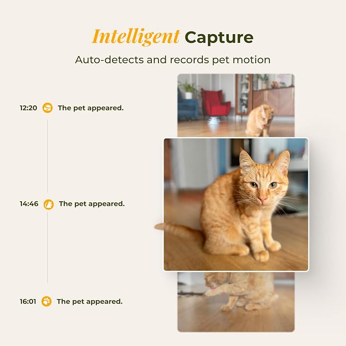 Arenti Ultimate Pet Care & Home Security Bundle: 2K Smart Feeder Kit with Water Fountain + 340° Pan/Tilt Battery Camera, WiFi App Control, 2-Way Audio, Ideal for Remote Pet Monitoring & Home Safety