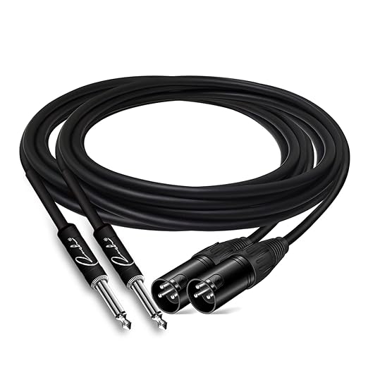 Ranch 2Pcs 10ft Male XLR to 1/4 TS Mono Jack Microphone Cable Quarter Inch to XLR Male Unbalanced Interconnect Cable - Black