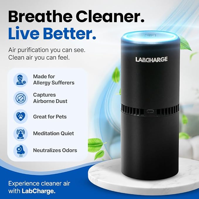 Lab Charge Small Ionic Air Purifier for Home & Bedroom – Silent HEPA Filter – Covers 250 Sq Ft - Free Cleaner for Pets, Hair, Smoke, Dust, Odors & Dander – Compact & Black Design - Pack of 3