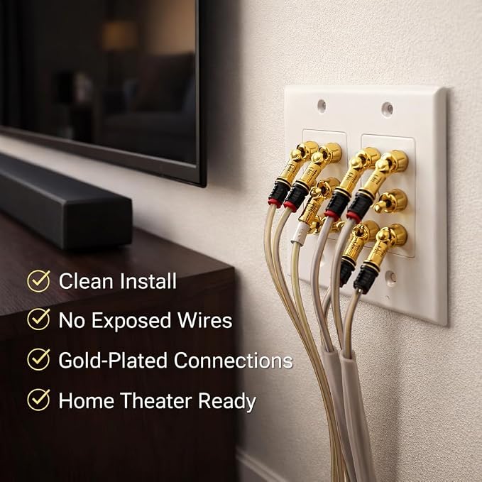 DIYTECH 6 Speaker Wall Plate, Home Theater Wall Plate, Gold Plated Binding Posts, for Home Theater Setup
