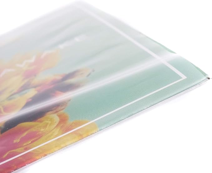 Hudson Hi-Fi Anti-Static Vinyl Record 250 Inner 250 Outer Sleeves - Ultimate LP Protection from Scratches, Dust & Dirt- Acid Free Thick Rice Paper