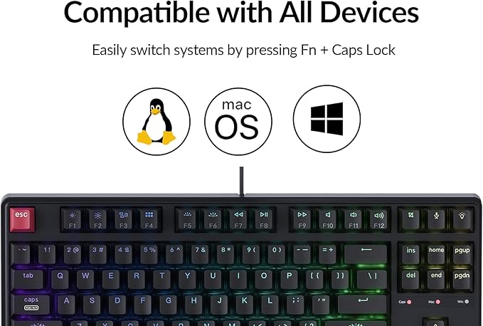 Keychron C3 Pro TKL 80% Wired Mechanical Keyboard, 8K Polling Rate, QMK/VIA Programmable, Hot-Swappable, RGB Backlit Shine-Through Keycaps, Super Banana Switch, for Windows/Mac