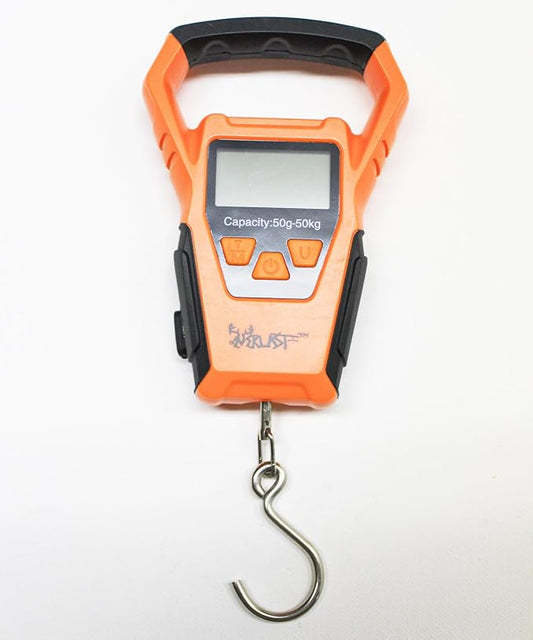 LastMemory Foreverlast G2 Scale Combo
