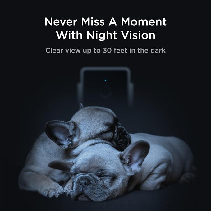 Petcube Cam The Pack of 3 | Indoor Wi-Fi Pet Security Camera with Phone App, 2-Way Audio and Video, Night Vision, 1080p HD Video and Smart Alerts