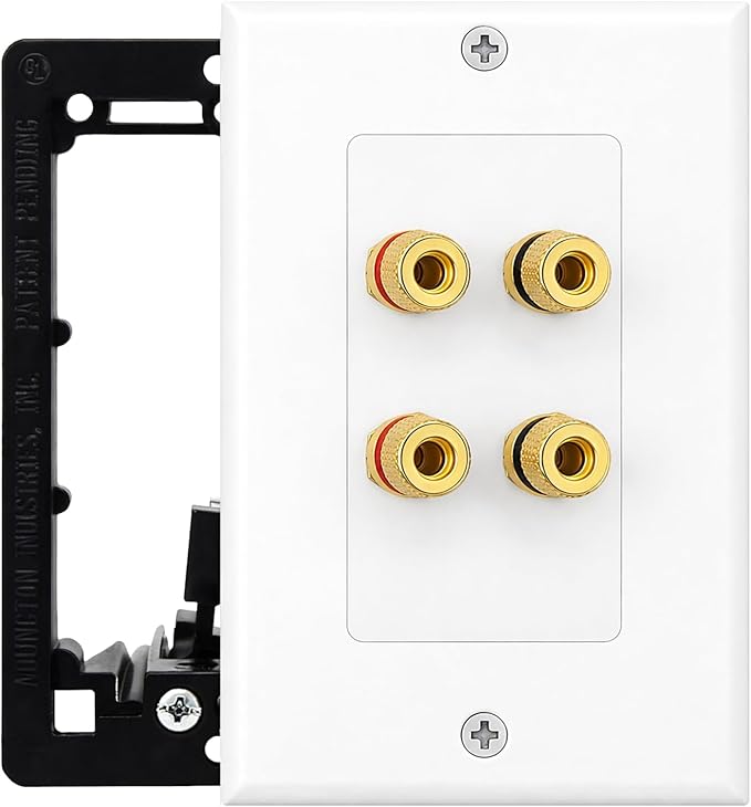 DIYTECH 2 Speaker Wall Plate, Home Theater Wall Plate, Gold Plated Binding Posts, for Home Theater Setup