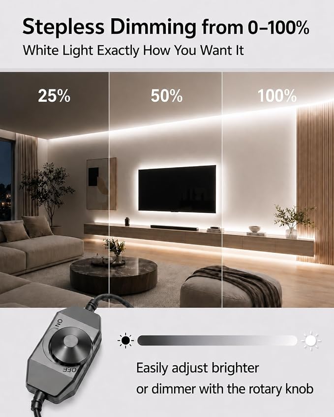 Neon Rope Lights, 32.8ft Cool White Dimmable LED Rope Lights, Cuttable Waterproof Flexible DIY LED Strip Lights for Bedroom, Indoor, Outdoor Decoration (Power Adapter Included)