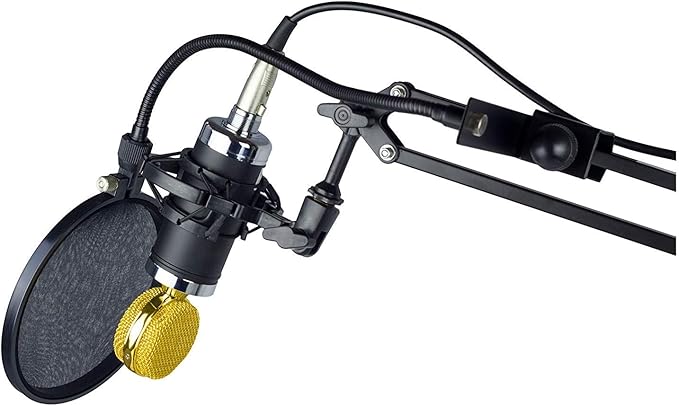 Nady 6-Inch Clamp On Microphone Pop Filter Wind Screen with Flexible Gooseneck and Metal Stabilizing Arm (SPF-1)
