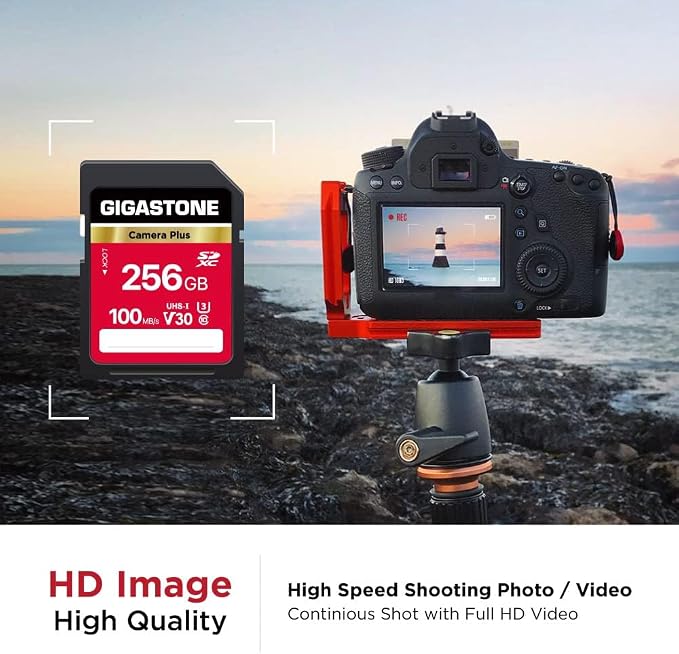 GIGASTONE 256GB SD Card 2-Pack, Camera Plus, UHS-I V30 SDXC Memory Card High Speed UHD Video Compatible with Kodak Olympus Digital Camera, with 2 Mini Cases