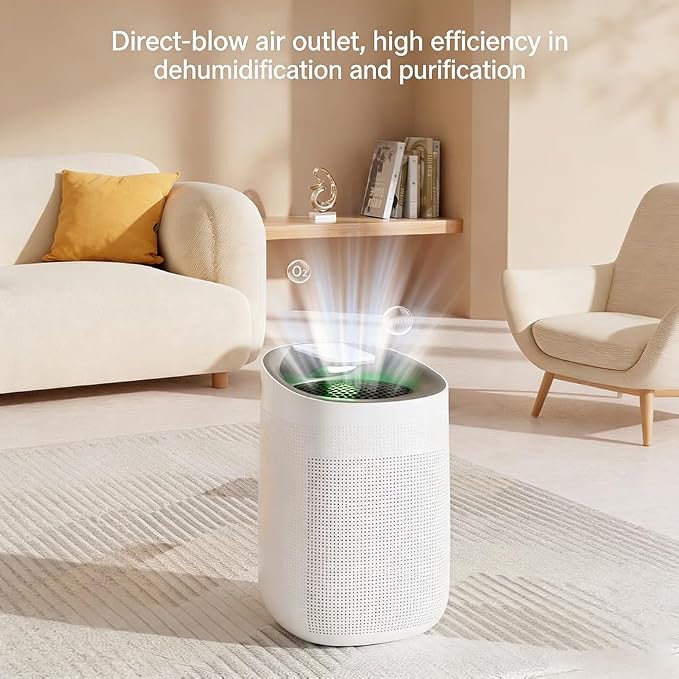 1000ml Dehumidifier w/Air Purifying Function, True HEPA Filter, Auto Shut off, Ultra-Quiet, Ideal for RV Closets Bathrooms Q9 1 Filter