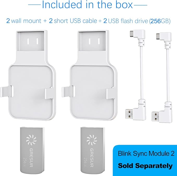 256GB USB Flash Drive for Local Video Storage with The Blink Sync Module 2 Mount (Blink Add-On Sync Module 2 is NOT Included), 2Pack