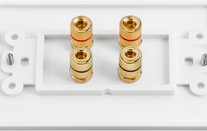 DIYTECH 2 Speaker Wall Plate, Home Theater Wall Plate, Gold Plated Binding Posts, for Home Theater Setup