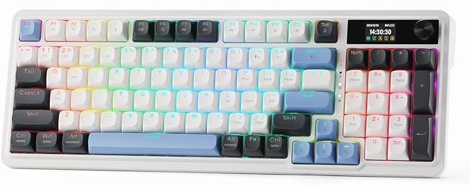 Redragon K719 Wireless Gasket Gaming Keyboard w/Hype Screen & Knob, 95 Keys Mechanical Keyboard, Easy-Control 1.14’’ TFT Info Display, 5-Layer Noise Dampener, Round PBT Keycaps, Mint Mambo Switch